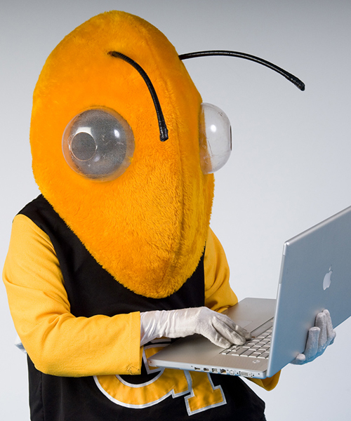 Placeholder photo of Buzz, Georgia Tech's mascot